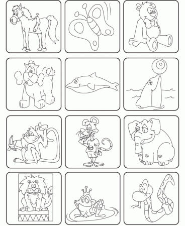Colorea los animales, nombrando cual es cada uno de ellos.